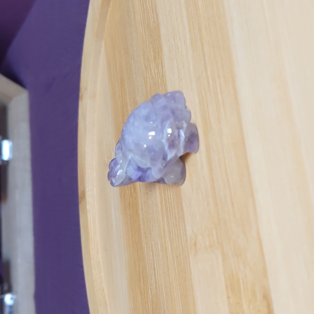 Mini Amethyst Turtle 🐢 - Picture 9 of 11